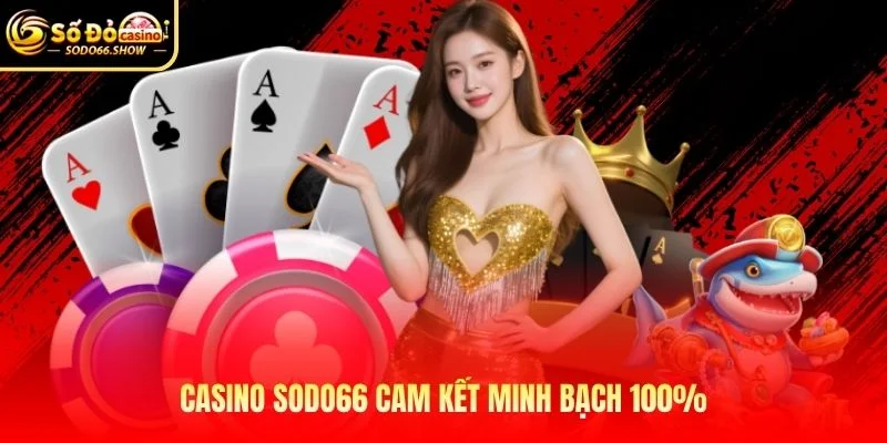 Casino SODO66 cam kết minh bạch 100% Casino SODO66 cam kết minh bạch 100%